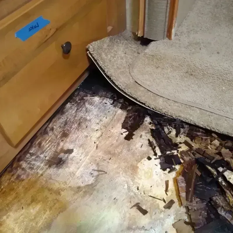 Wood Floor Water Damage in Harrisburg, NC